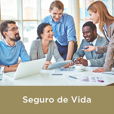 Seguro de Vida
