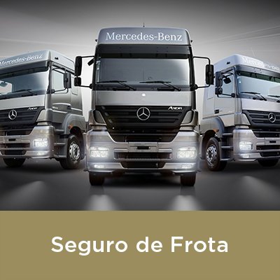 Seguro Frota