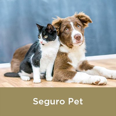 Seguro Pet